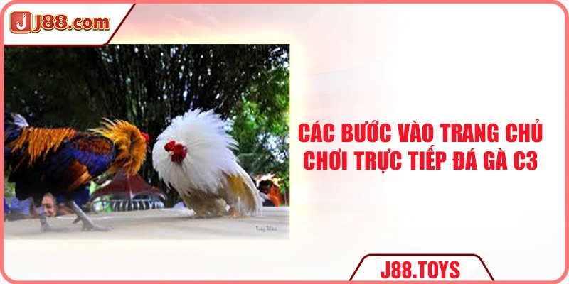 Các bước vào trang chủ chơi trực tiếp đá gà C3