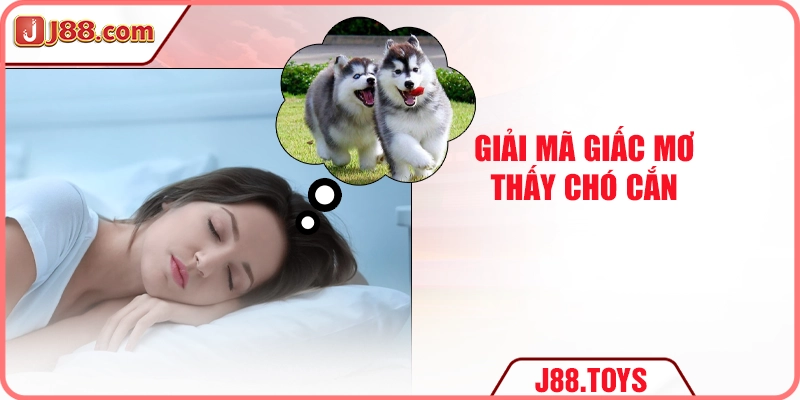 Giải mã giấc mơ thấy chó cắn