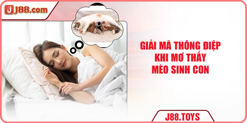 Giải mã thông điệp khi mơ thấy mèo sinh con