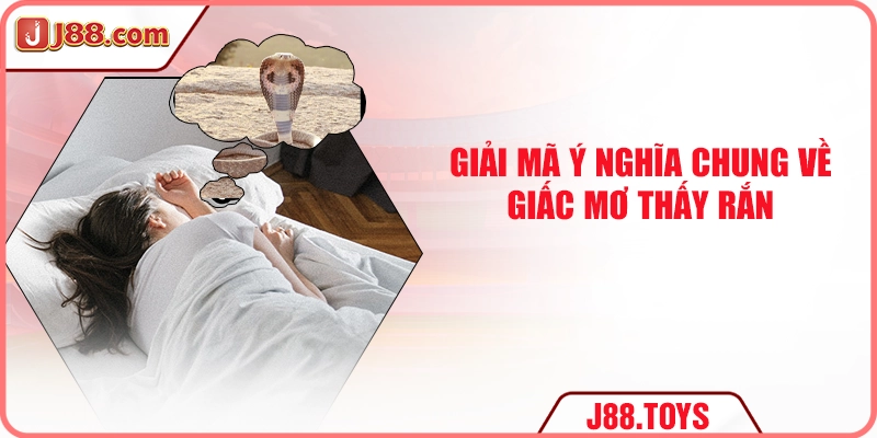 Giải mã ý nghĩa chung về giấc mơ thấy rắn