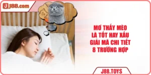 Mơ Thấy Mèo Là Tốt Hay Xấu - Giải Mã Chi Tiết 8 Trường Hợp