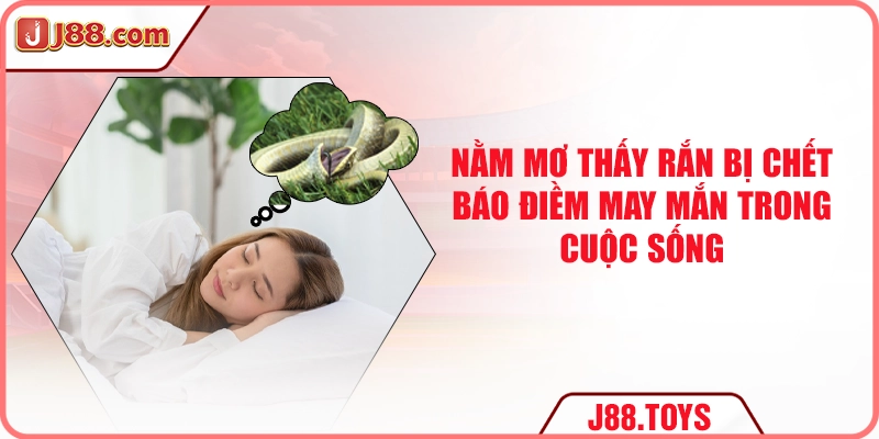 Nằm mơ thấy rắn bị chết báo điềm may mắn trong cuộc sống
