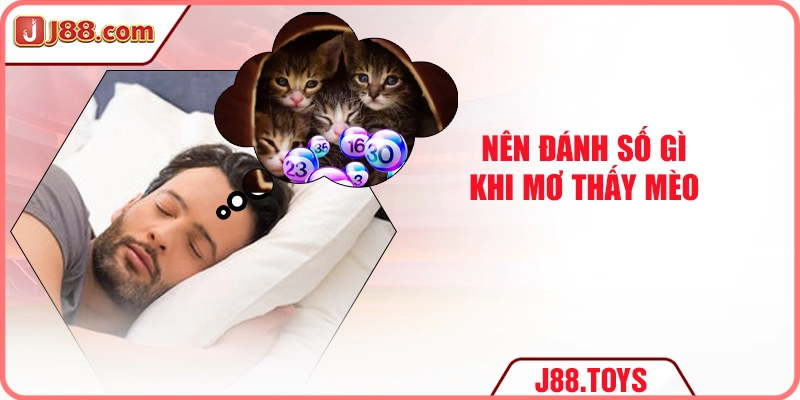 Nên đánh số gì khi mơ thấy mèo