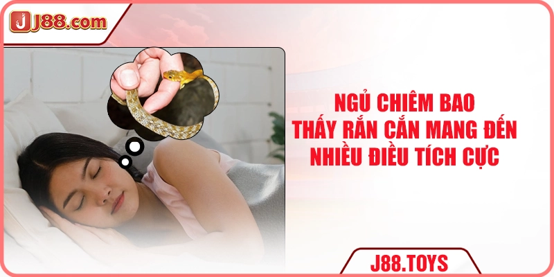 Ngủ chiêm bao thấy rắn cắn mang đến nhiều điều tích cực