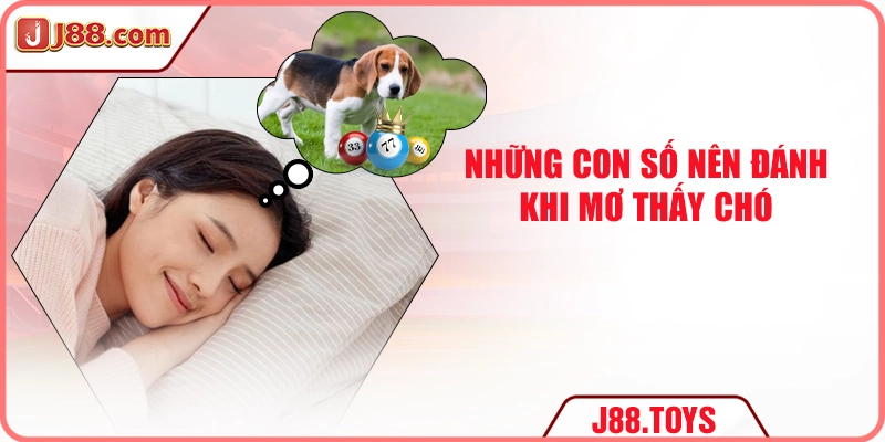 Những con số nên đánh khi mơ thấy chó