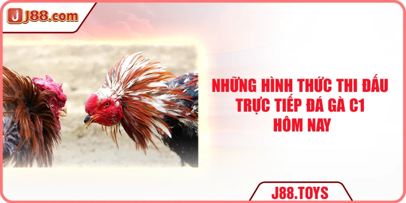 Những hình thức thi đấu trực tiếp đá gà C1 hôm nay