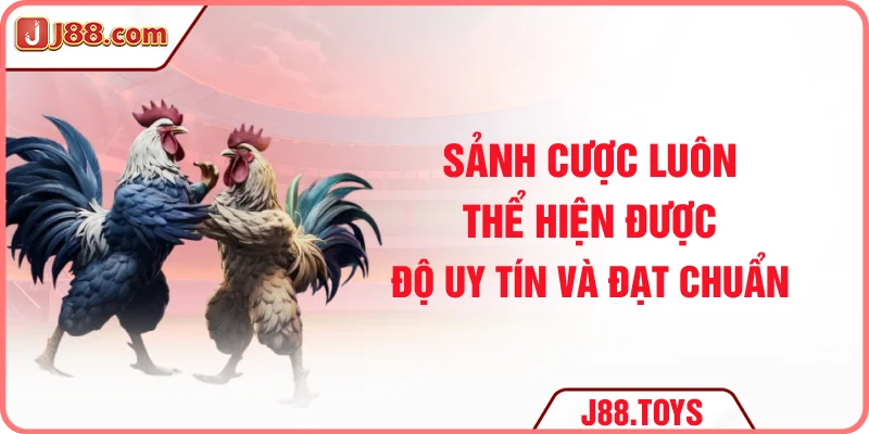 Sảnh cược luôn thể hiện được độ uy tín và đạt chuẩn