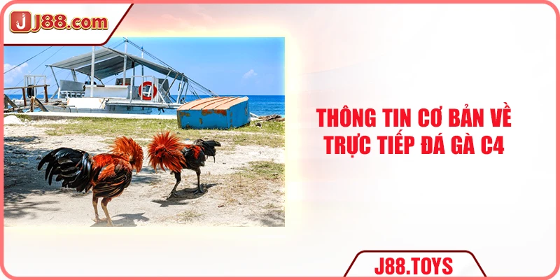 Thông tin cơ bản về trực tiếp đá gà C4