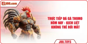 Trực Tiếp Đá Gà Thomo Hôm Nay - Kịch Liệt Không Thể Rời Mắt