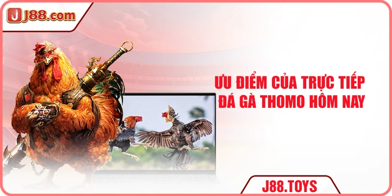 Ưu điểm của trực tiếp đá gà Thomo hôm nay