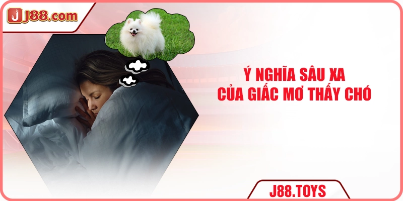 Ý nghĩa sâu xa của giấc mơ thấy chó