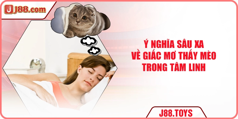Ý nghĩa sâu xa về giấc mơ thấy mèo trong tâm linh